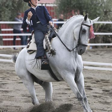 Hípica El Requiebro mujer montando a caballo